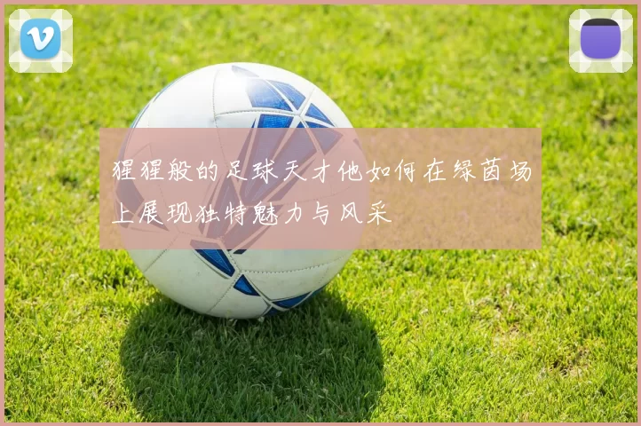 猩猩般的足球天才他如何在绿茵场上展现独特魅力与风采