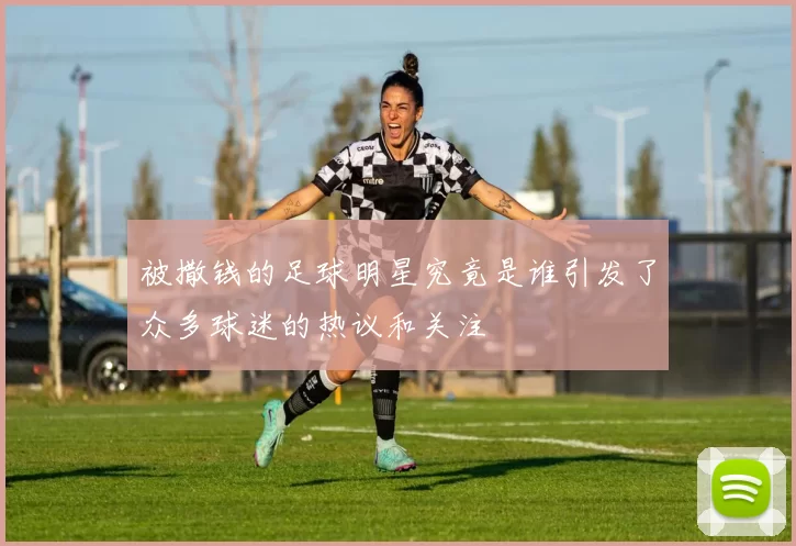 被撒钱的足球明星究竟是谁引发了众多球迷的热议和关注