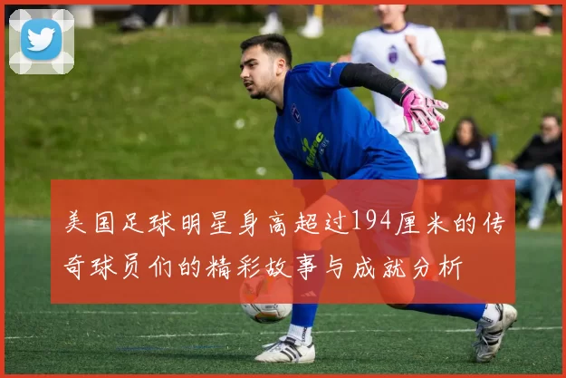 美国足球明星身高超过194厘米的传奇球员们的精彩故事与成就分析