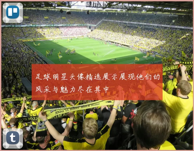 足球明星头像精选展示展现他们的风采与魅力尽在其中