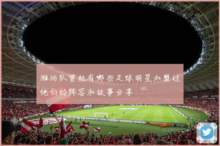 潍坊队曾经有哪些足球明星加盟过他们的阵容和故事分享