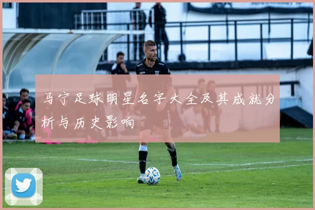 马宁足球明星名字大全及其成就分析与历史影响