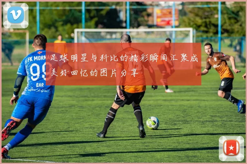 足球明星与科比的精彩瞬间汇聚成美好回忆的图片分享