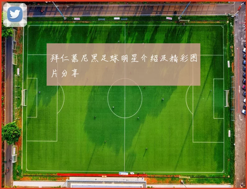 拜仁慕尼黑足球明星介绍及精彩图片分享