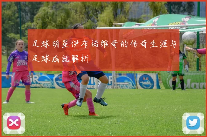 足球明星伊布诺维奇的传奇生涯与足球成就解析