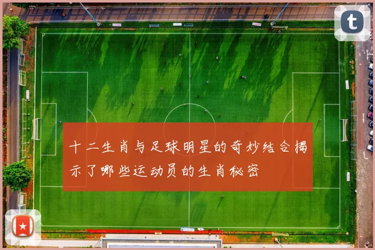 十二生肖与足球明星的奇妙结合揭示了哪些运动员的生肖秘密