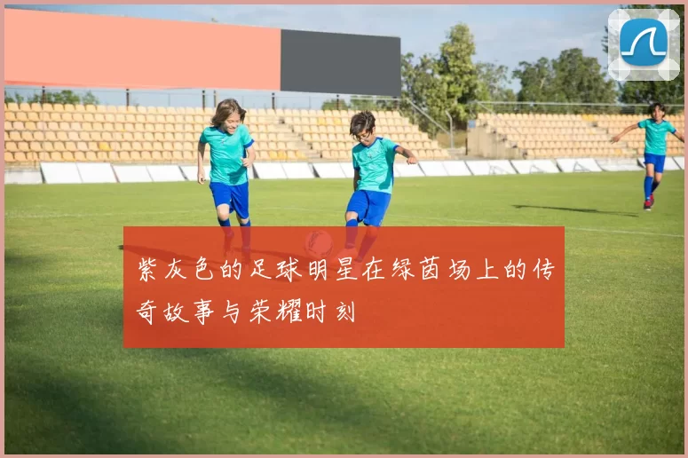 紫灰色的足球明星在绿茵场上的传奇故事与荣耀时刻