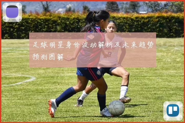 足球明星身价波动解析及未来趋势预测图解