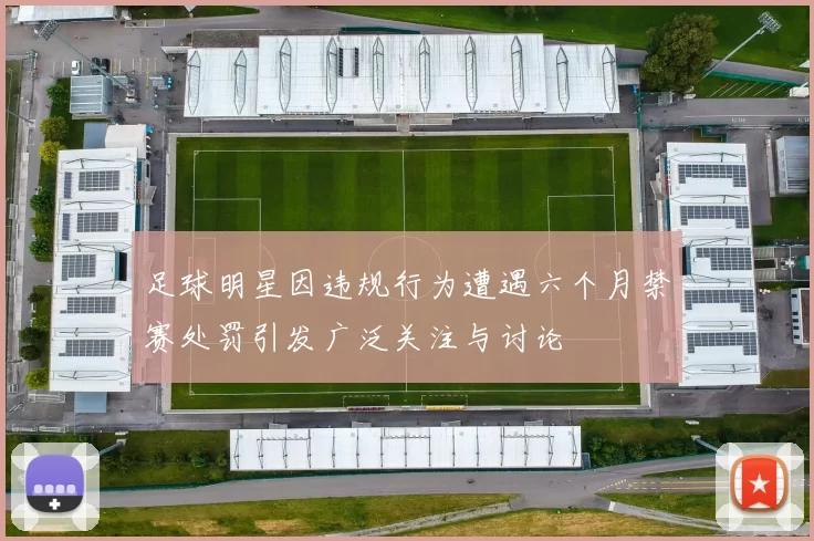 足球明星因违规行为遭遇六个月禁赛处罚引发广泛关注与讨论