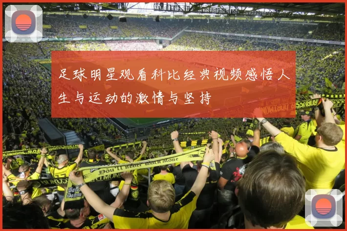 足球明星观看科比经典视频感悟人生与运动的激情与坚持