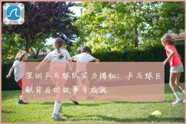 深圳乒乓球队实力揭秘：乒乓球巨献背后的故事与成就