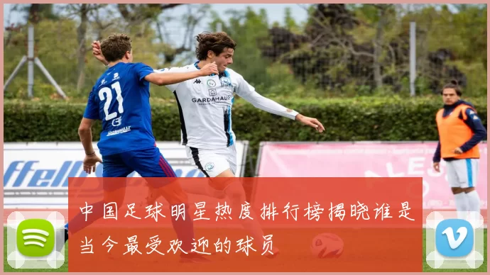 中国足球明星热度排行榜揭晓谁是当今最受欢迎的球员