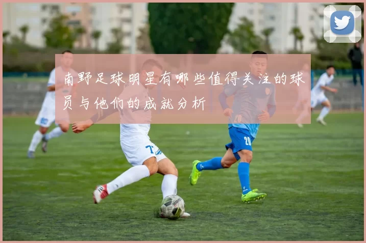 南野足球明星有哪些值得关注的球员与他们的成就分析