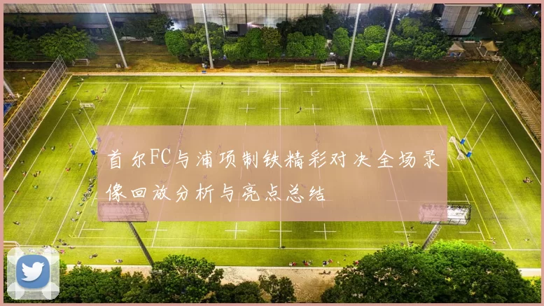 首尔FC与浦项制铁精彩对决全场录像回放分析与亮点总结
