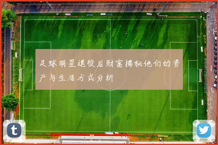 足球明星退役后财富揭秘他们的资产与生活方式分析