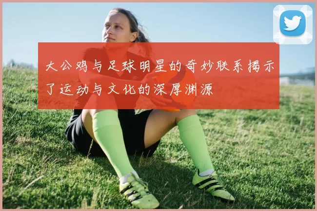 大公鸡与足球明星的奇妙联系揭示了运动与文化的深厚渊源