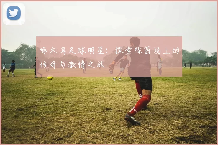 啄木鸟足球明星：探索绿茵场上的传奇与激情之旅