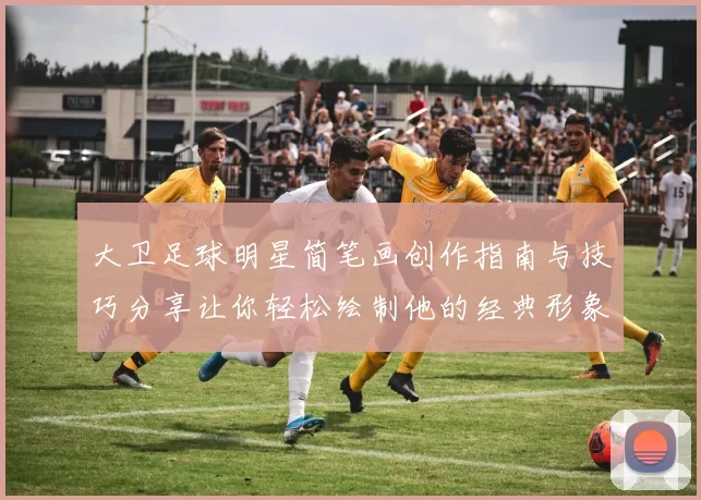 大卫足球明星简笔画创作指南与技巧分享让你轻松绘制他的经典形象