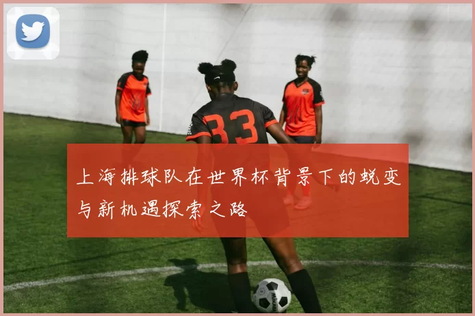 上海排球队在世界杯背景下的蜕变与新机遇探索之路